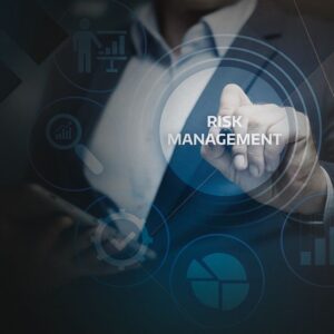 Risk Mitigation via a U.S.-Based Microsoft System Integration Company