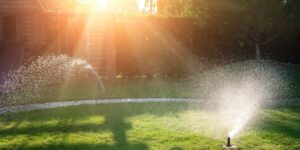How to Choose the Best Service for Your Long Island Sprinkler Installation Needs