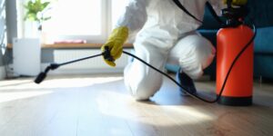 Top 5 Benefits of Hiring a Professional Pest Control Company Muskego WI
